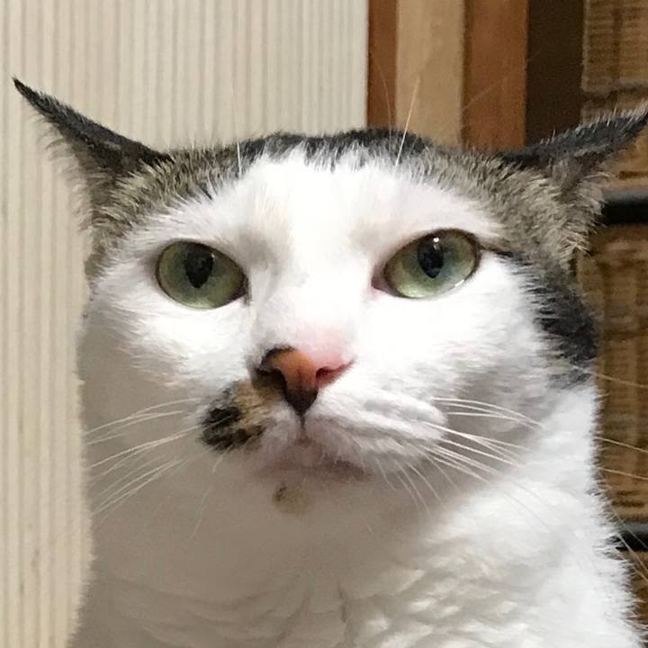 472c5619 f7f0 485f beee 718c63f3bb57 1537648403364