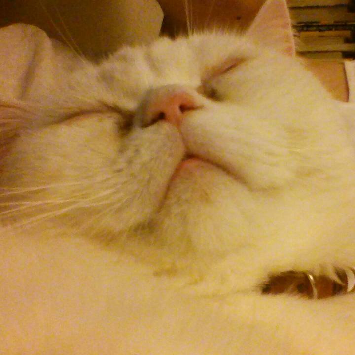 472c6c86 c983 4d98 a571 36a74438ae13 1524225938103