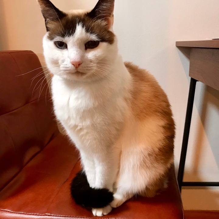 472c9d54 e75d 48e9 9631 126f7acd110f 1545964590000