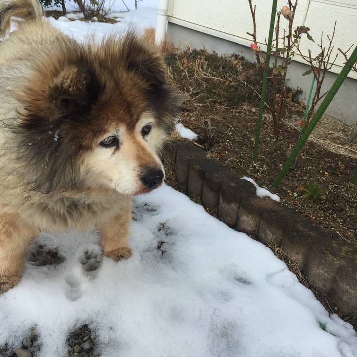 472ca063 9d14 4d57 851a 30f0126f59eb 1631454631937