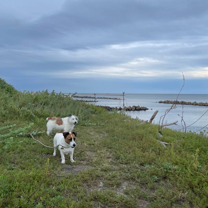 472d0dbf 68af 4456 a07d 1729253bb2db 1758755940199