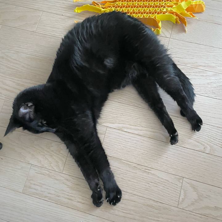 472d1339 c016 4220 8e36 433cec30b4fa 1704335744070