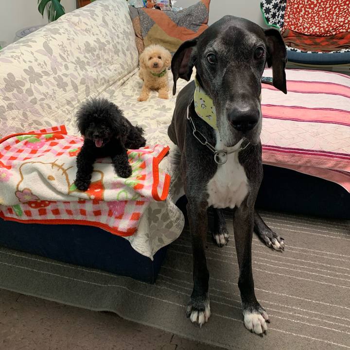 472d1871 bbff 4845 997b bcbae06901af 1595372366695