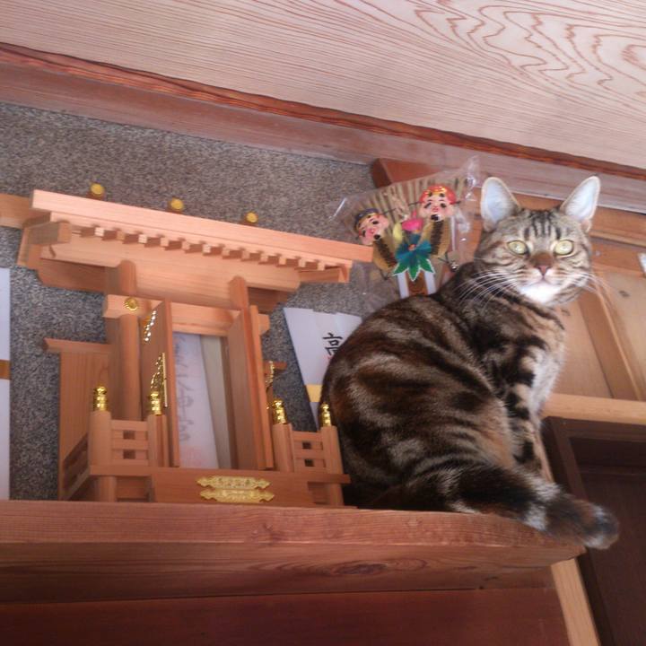 472d95ff 3f4f 4d22 9146 df555cebc351 1547301521872