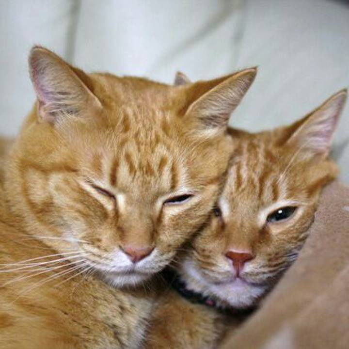 472daf69 84fd 421e bb46 57653ccd46a0 1512710447237