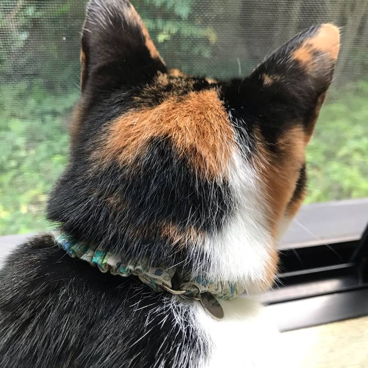 472db923 36bc 48af be39 e69544df1df2 1626573010880