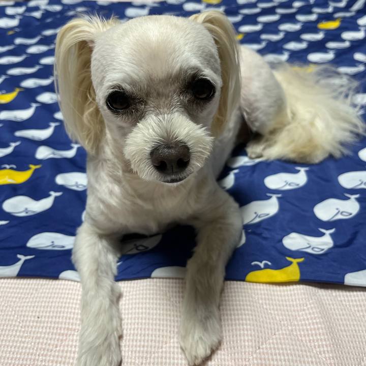 472dbabb a504 46b1 be6c 9a91e7a7a027 1690286533411