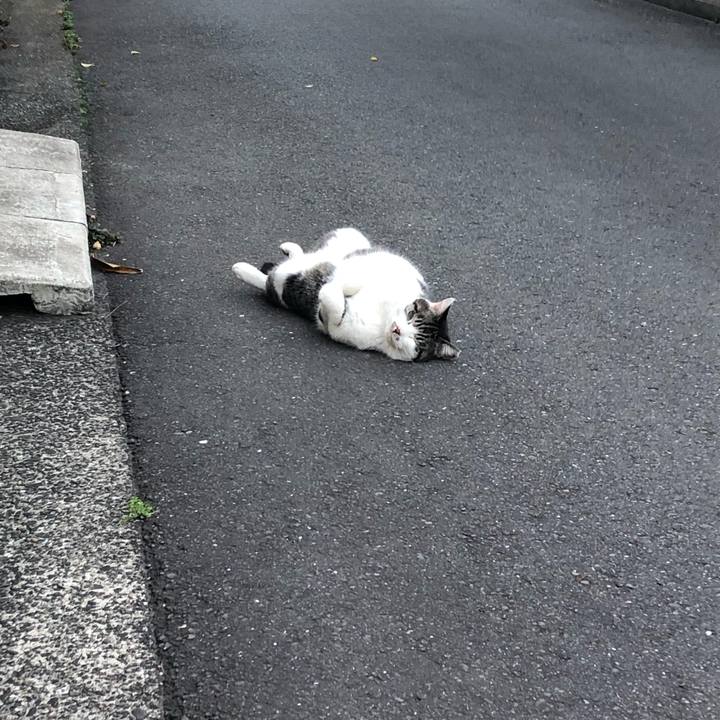 472e01d5 151c 432f 8991 422fb8974280 1583922174285