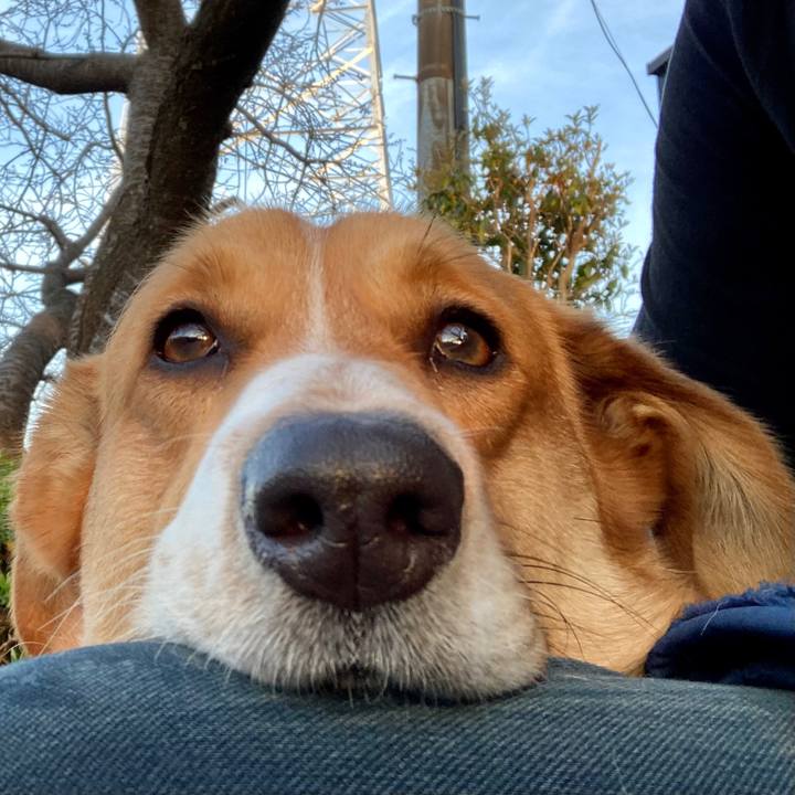 472e0cb1 4674 42ee ace6 7b91be711163 1649466640838