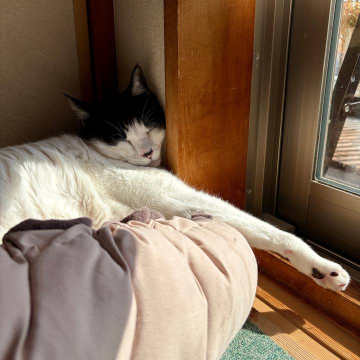 472e2027 2efe 4112 b891 9b1640f7477f 1771076484866