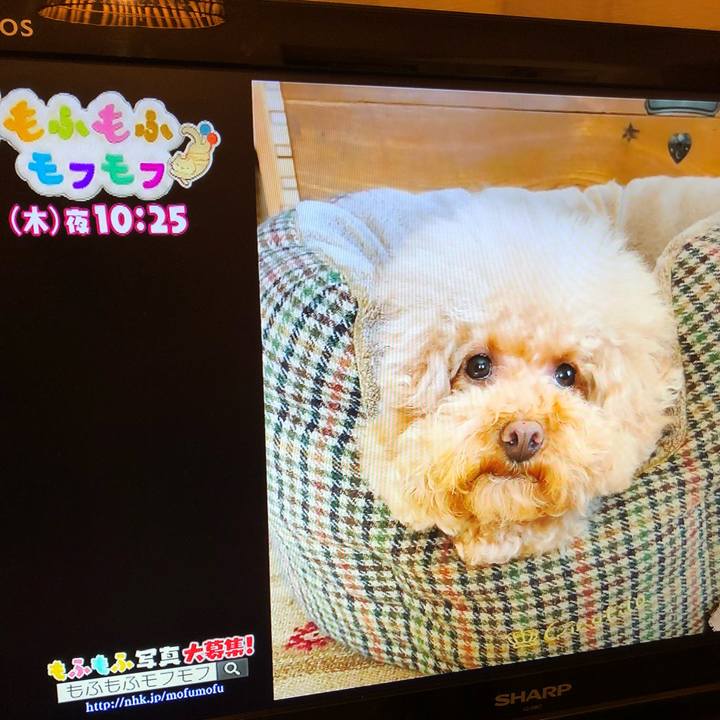 472e448a 9da8 4978 8dca 98ec16fa8dac 1539899815221