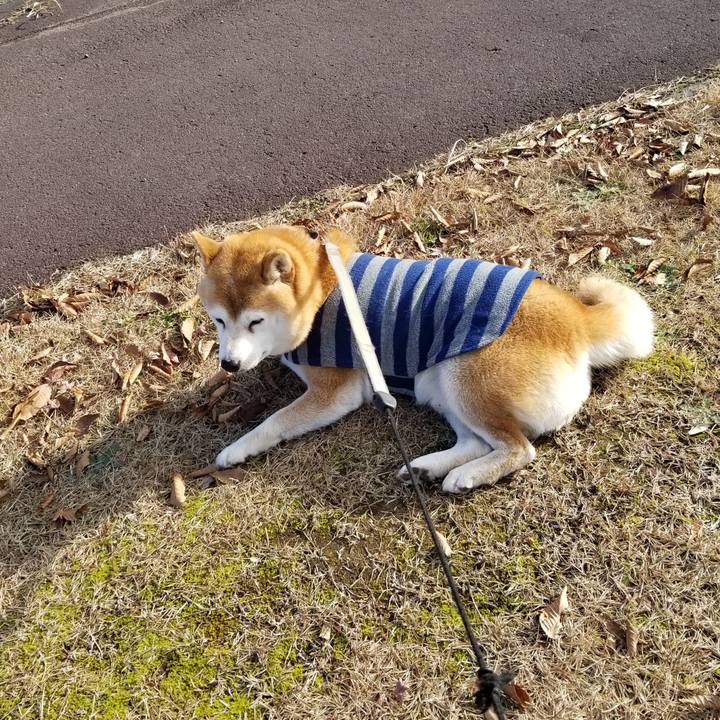 472e50f7 3bf3 4c9f 85c6 3bbf98f42e2c 1638332913843