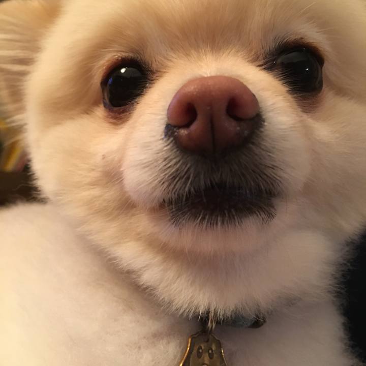 472e5641 3178 435b 98c2 033abd1a3d7b 1561983951312