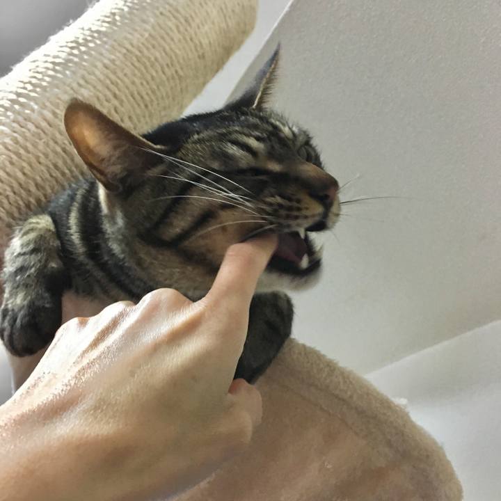 472e5853 c0e2 4fe3 9ff3 88f30d7b8807 1523956076966