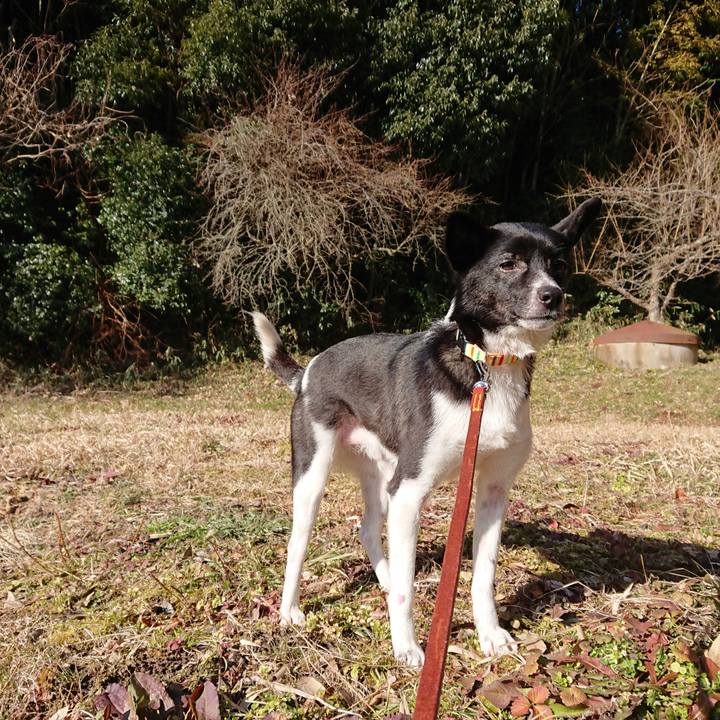 472e6034 e83b 44fa 9be3 a74a465e68c1 1518498697674