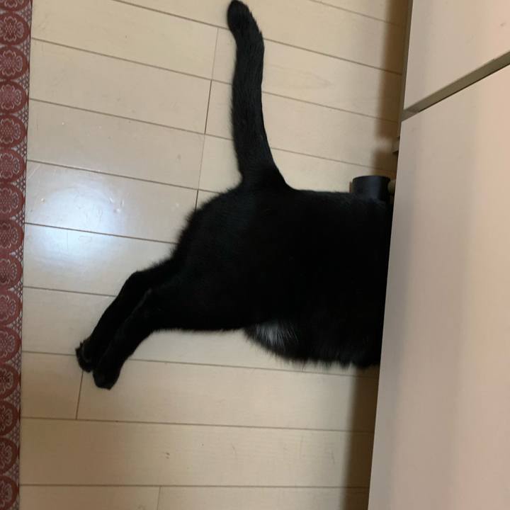 472e7207 c2d3 4523 86c7 891f74e1d670 1660018034956