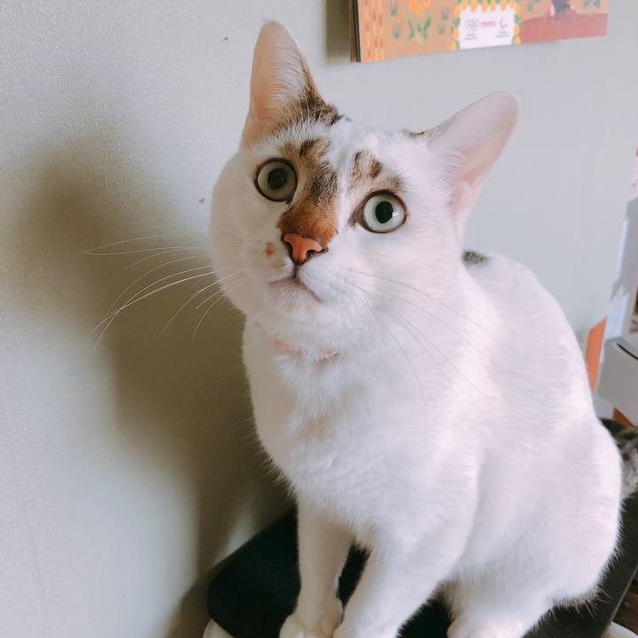 472ec71f 90e6 41f3 83cc 60f332cd809d 1520256357008