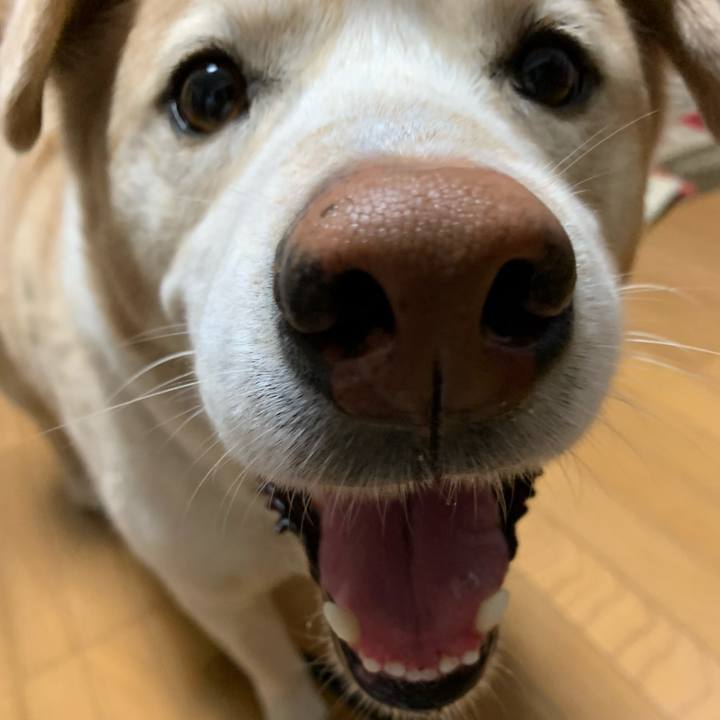 472ecc26 9bb5 40d4 8b4b a872876331c6 1617016349068