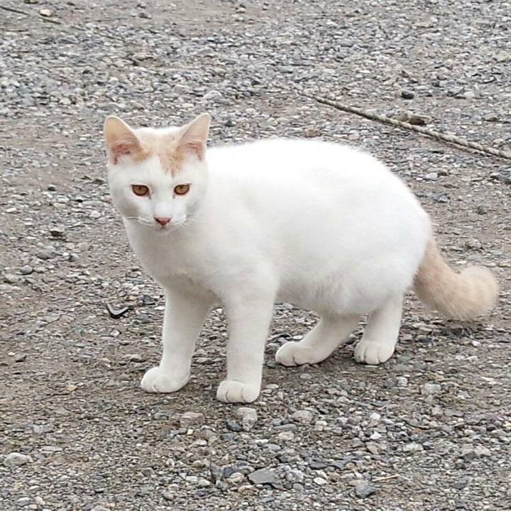 472ee601 d835 4568 a379 2df11612885b 1510633571445