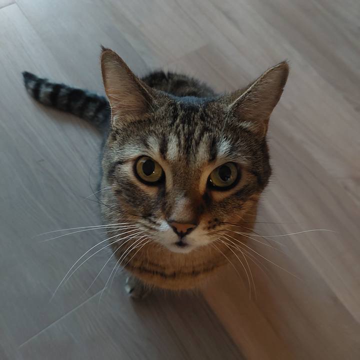 472f2ed1 2bdf 4f43 b716 5ec20d190351 1638343082067