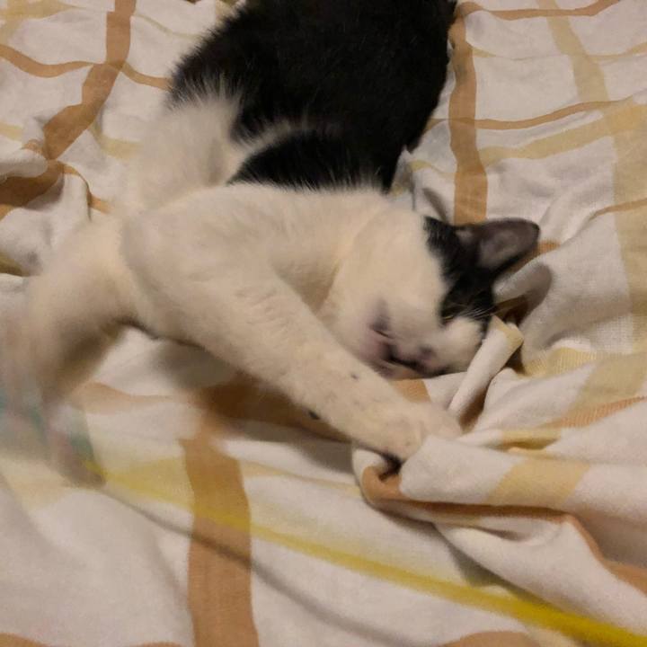 472f55e6 0b05 4c45 8b7f ef62c503263f 1547572598532