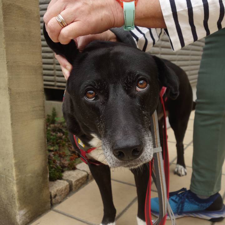 472f7936 e84a 40e8 b7f9 e32b22e1879e 1696728769635