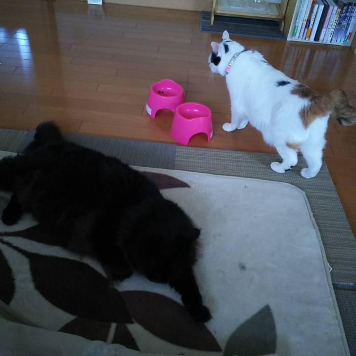 472f911d c944 486d 913b ee9265ad1964 1574465271092