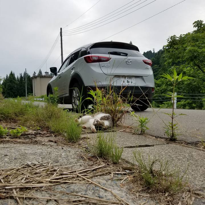 472fbf54 d20c 4b18 9920 9df62662218c 1592859155504