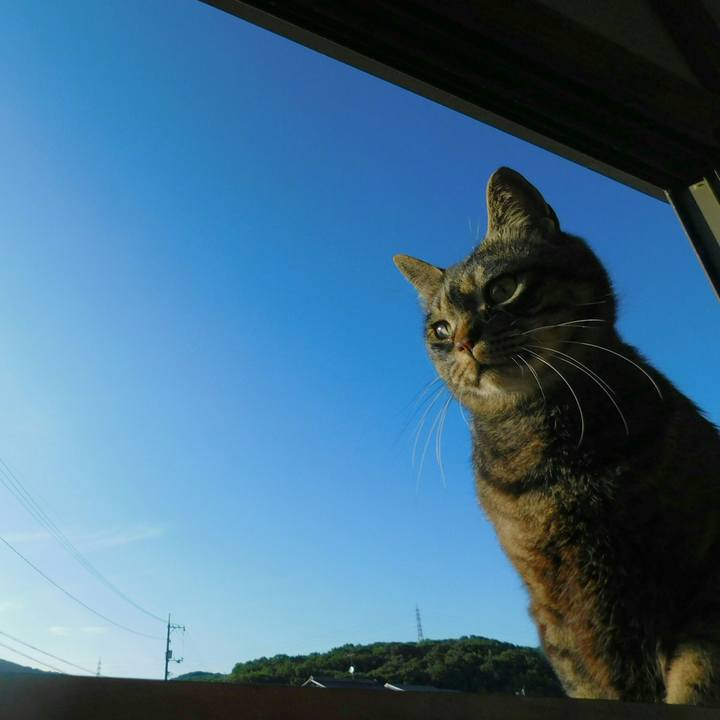 472ffee5 9992 432f a6b0 2955b2396e31 1531142692578