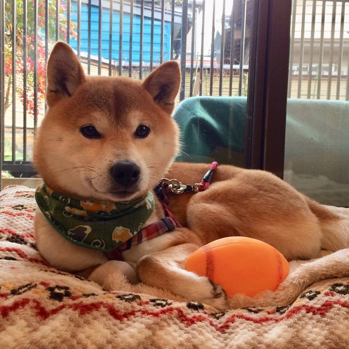 4730192b 1cc9 4bc7 9d70 e13a085bfd27 1516363342425