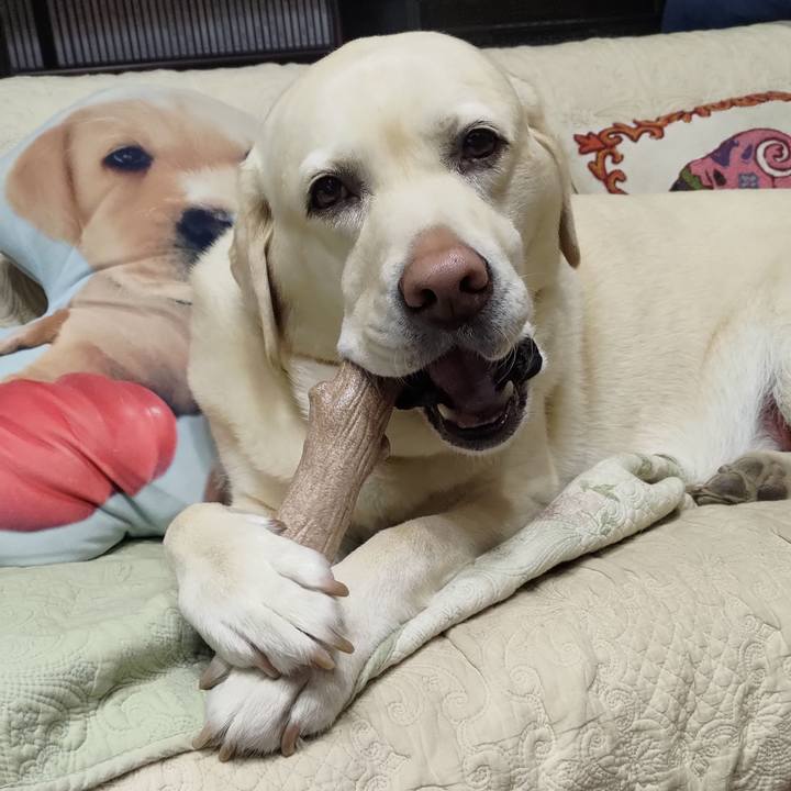 47305555 1fb0 4a59 81d9 21e08e2f70e7 1645099066701