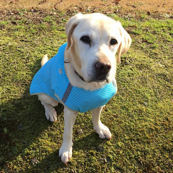 47305987 129c 49aa 8227 632f343c819c 1544921669742