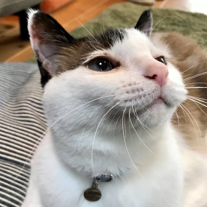 4730d1ad 332c 48f7 a459 fcc1036c3f1e 1623034478132