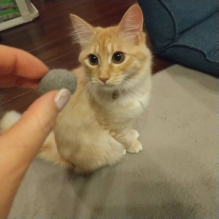 4730e50c c027 4983 a350 288ac8ecb155 1618060685933