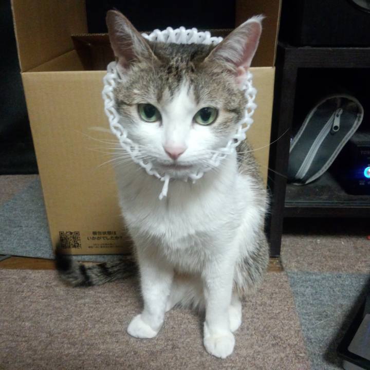 47315e5c 0b90 44dc b5da e0c1054fe960 1755048369809