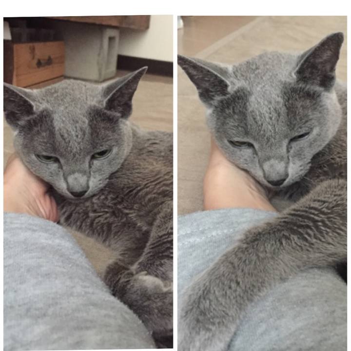 4731681d f29a 4ba0 8e19 943fe734ea04 1572768525502