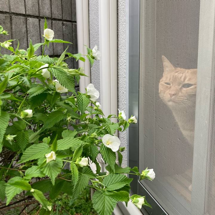 47319dc1 18d9 4927 9769 a2af2f726c86 1617062643920