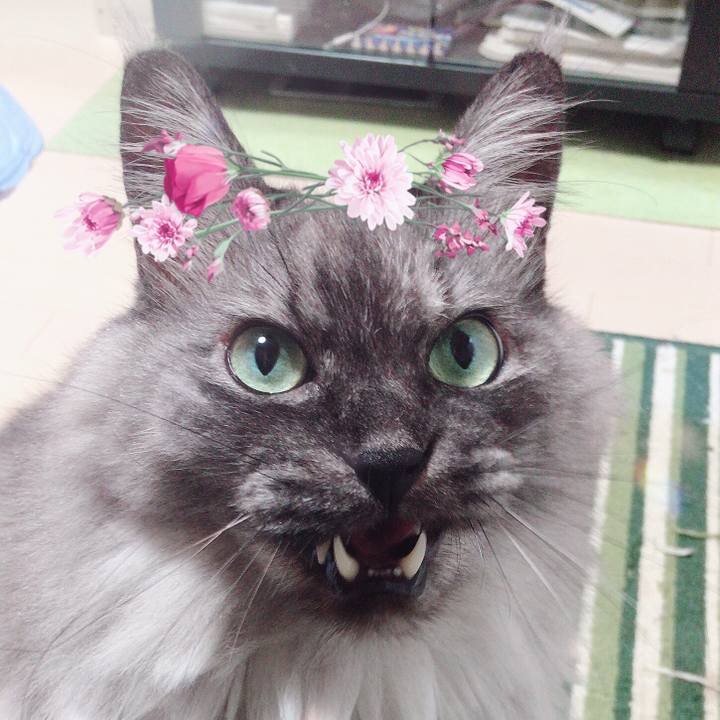 4731a15f 8659 49ed 92f8 2d32c20a639d 1555310711772