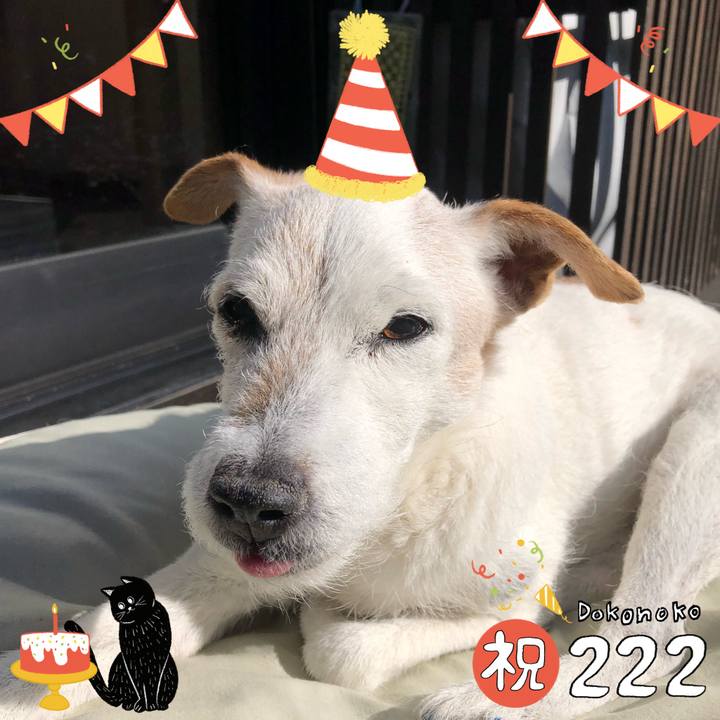 4731ca3e abef 46c1 86c1 0720ace34c19 1645510910369