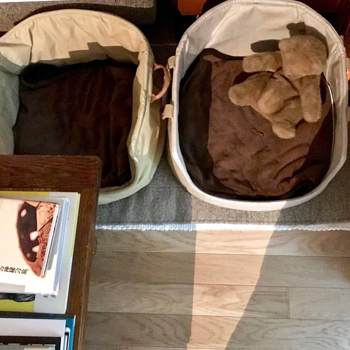 4732374e 2abe 47d1 985d 1b8cffb85e46 1540290823740