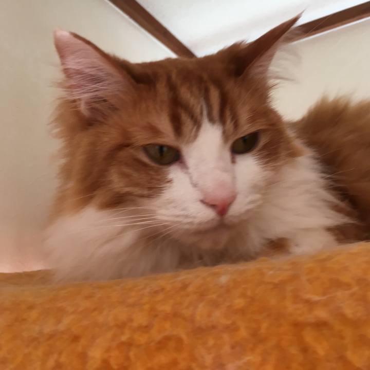 47323cfb 7eaa 46d0 bf97 39705d4bde5f 1520663557568