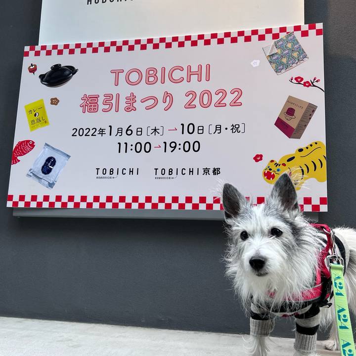 47328506 4c3e 43ed 8616 fc55e91535e0 1641776124654