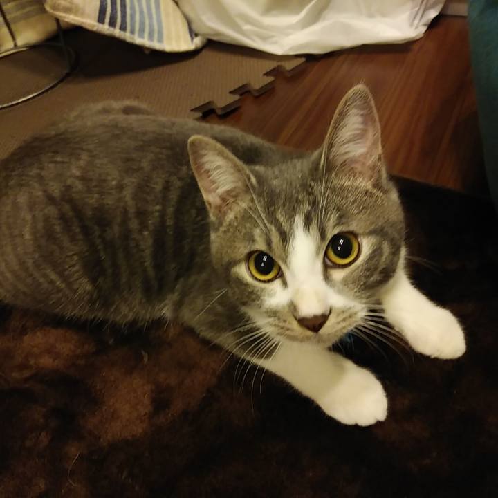 4732aff6 4648 4e65 91d2 527a4e47830f 1573307335164