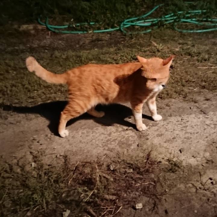 4732ba2b a227 4550 abb4 5f5bb43d06c4 1568283945092