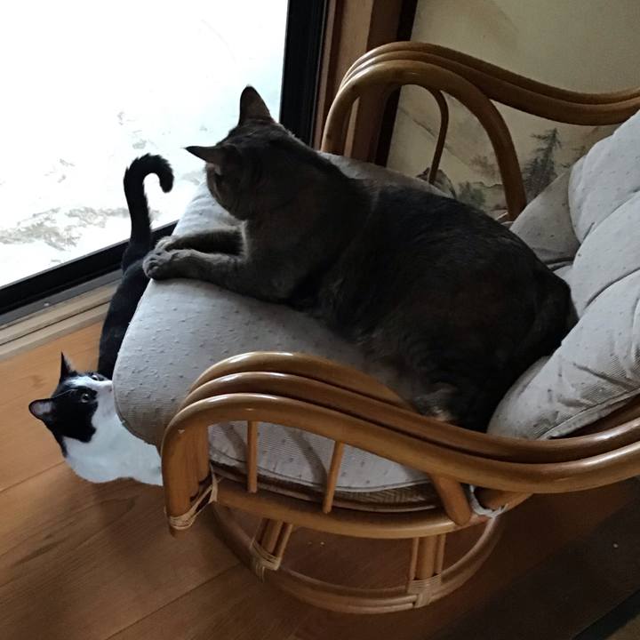 4732d048 40af 49d6 913d 5186c1d9d06b 1756812483162