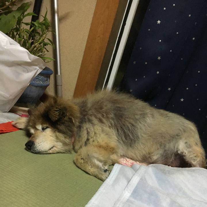 4732ec1d 03b2 4aeb b1eb ce111018141e 1565891069278