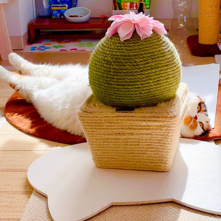 4732f70d 5059 4b6c 8e3c 9b70ab5c3890 1665114989391