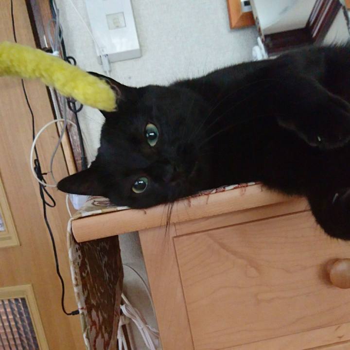 47334f9d 71e4 41f1 87f4 7fa0c3616e9c 1566255330315