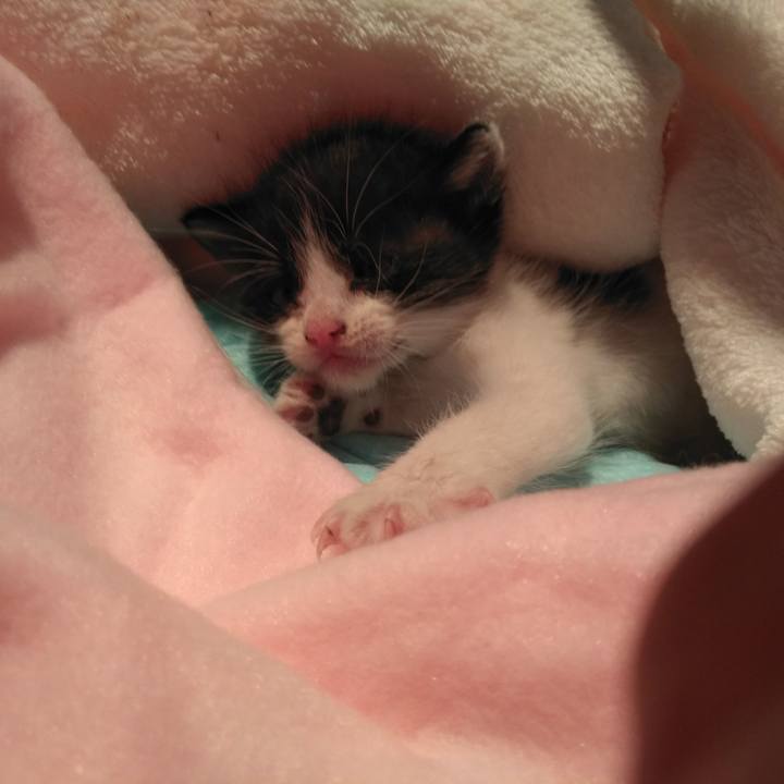 473364bf 355e 4091 ac9c 7b6ca1752a04 1570705801714