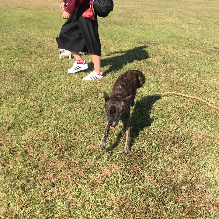 473368e8 7af8 4ab0 bfa1 e12f1852daa0 1509894439548